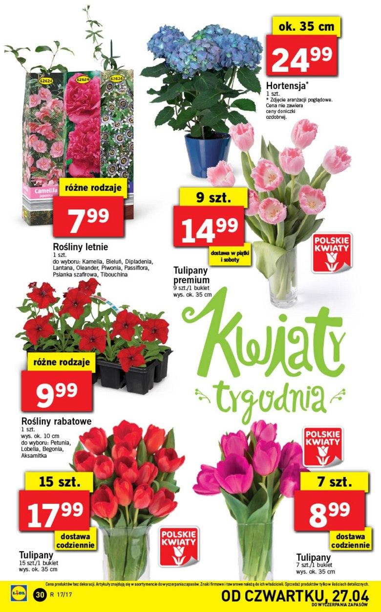 Gazetka promocyjna Lidl str. 30