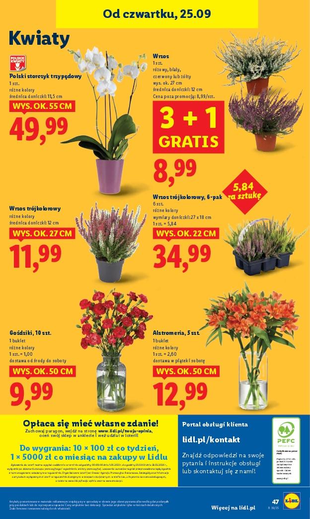 Gazetka promocyjna Lidl str. 51