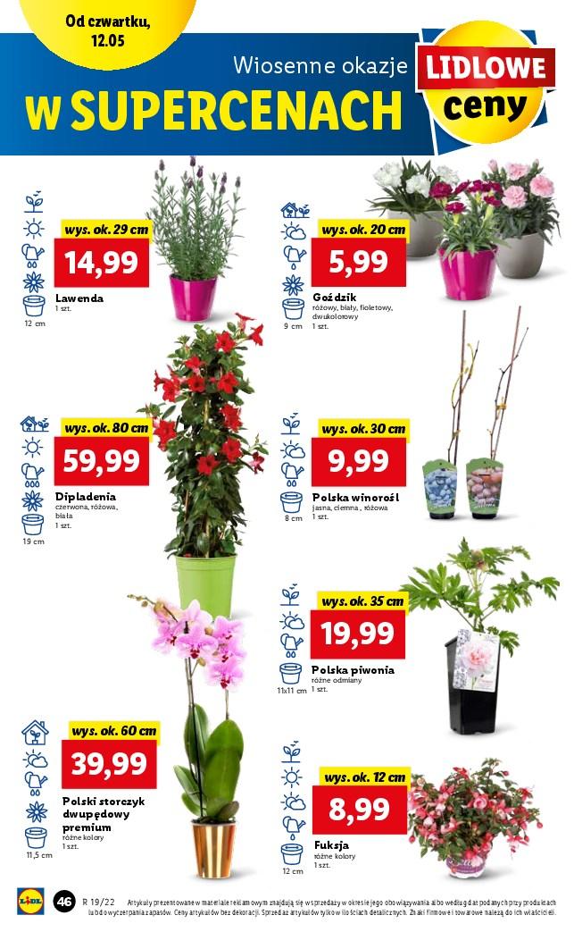 Gazetka promocyjna Lidl str. 46