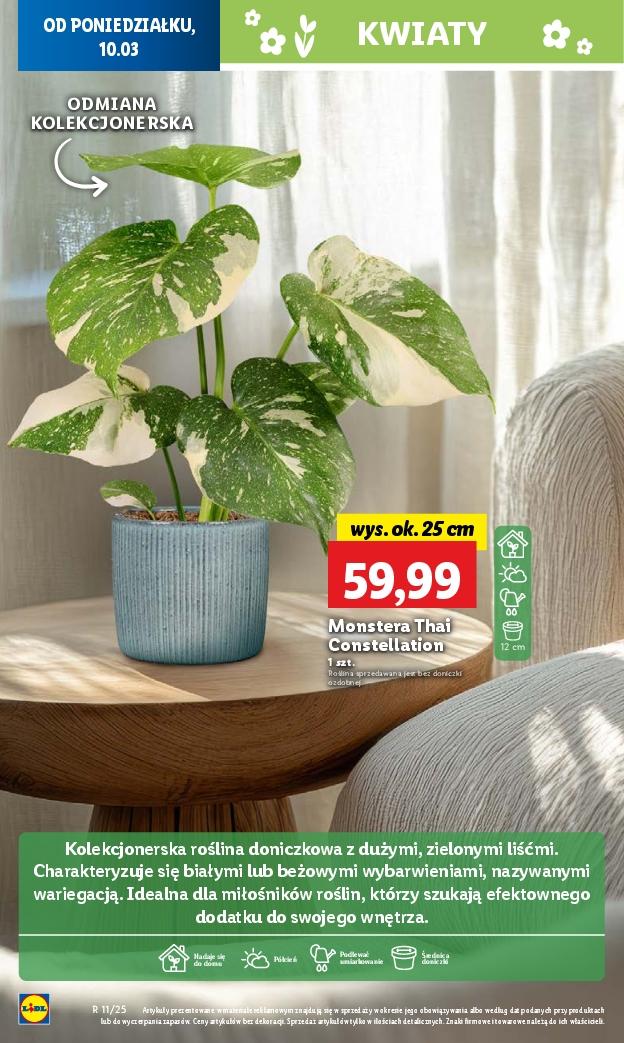 Gazetka promocyjna Lidl str. 53