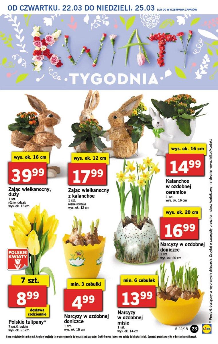 Gazetka promocyjna Lidl str. 24