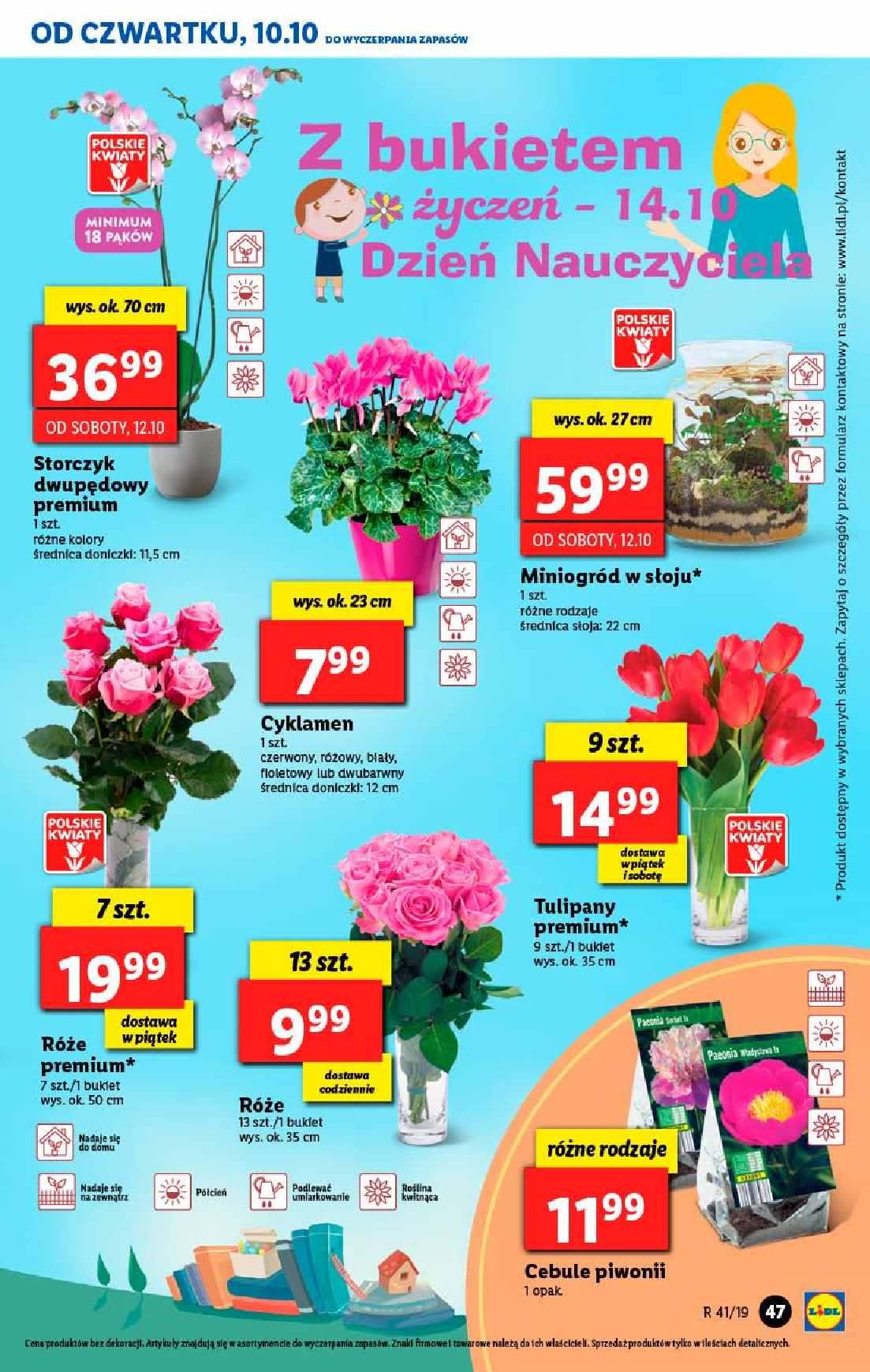 Gazetka promocyjna Lidl str. 47