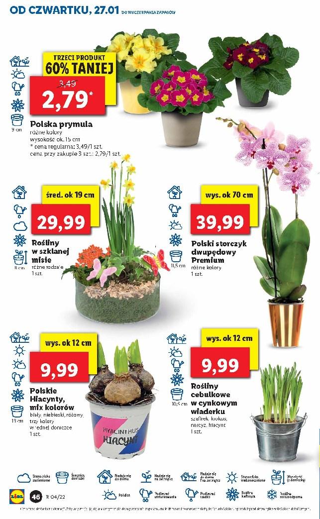 Gazetka promocyjna Lidl str. 46