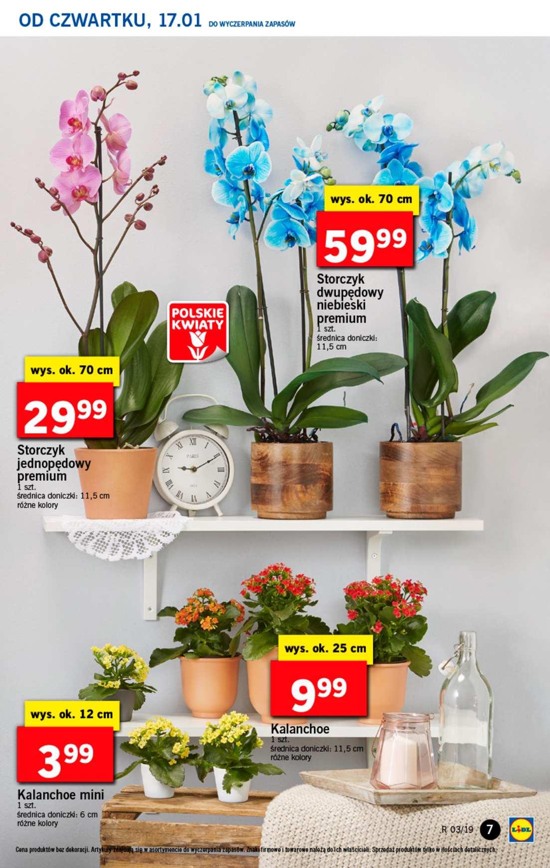 Gazetka promocyjna Lidl str. 7