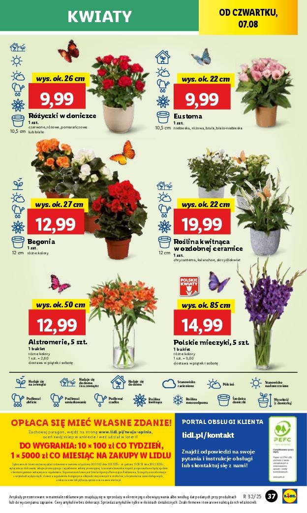 Gazetka promocyjna Lidl str. 49