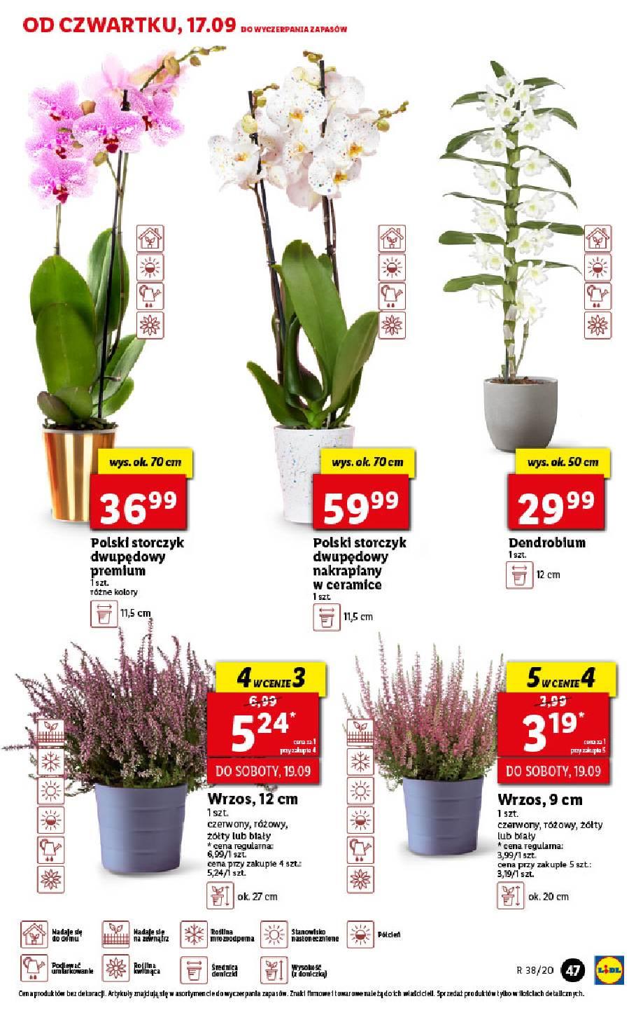 Gazetka promocyjna Lidl str. 47