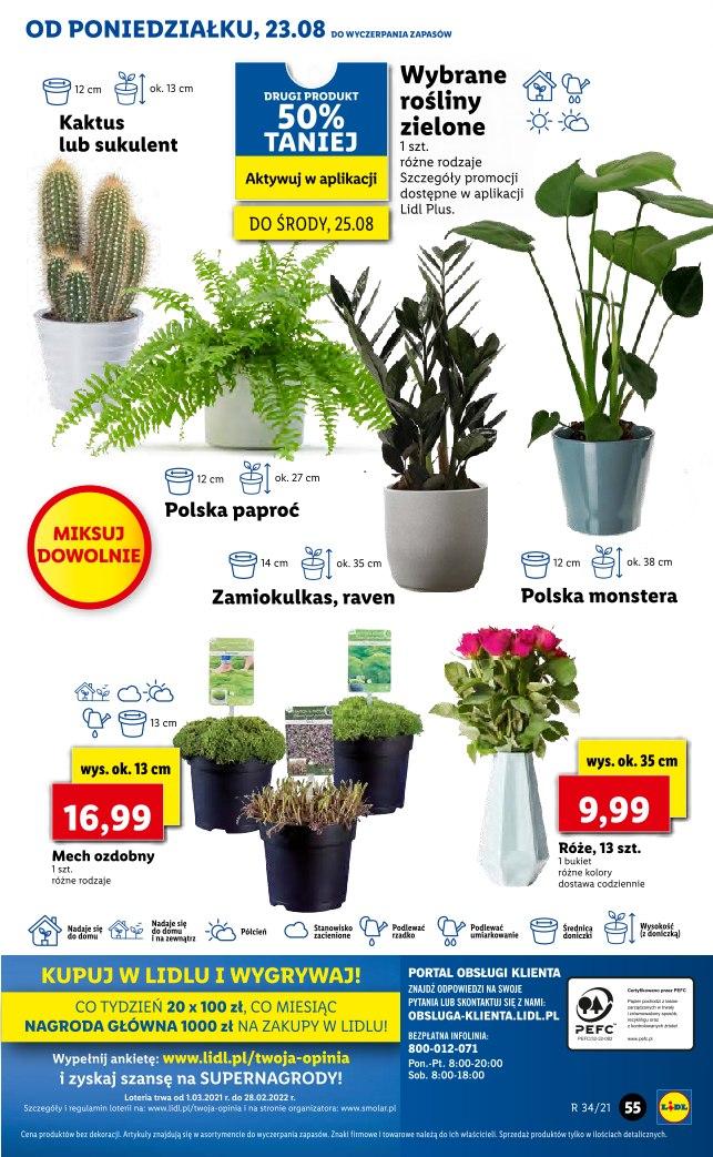 Gazetka promocyjna Lidl str. 55