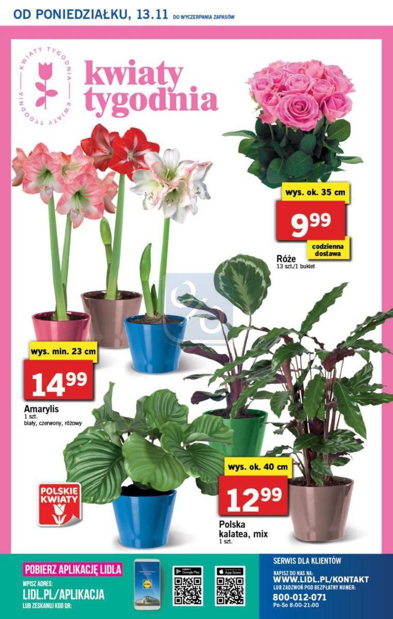 Gazetka promocyjna Lidl str. 39