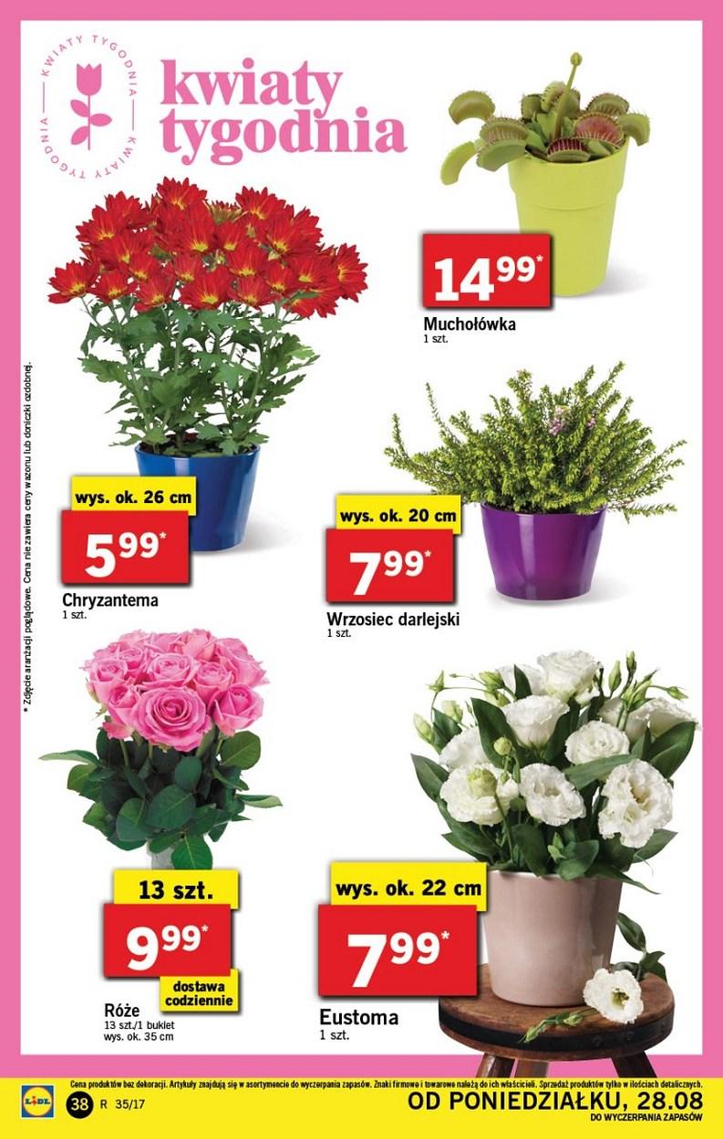 Gazetka promocyjna Lidl str. 38