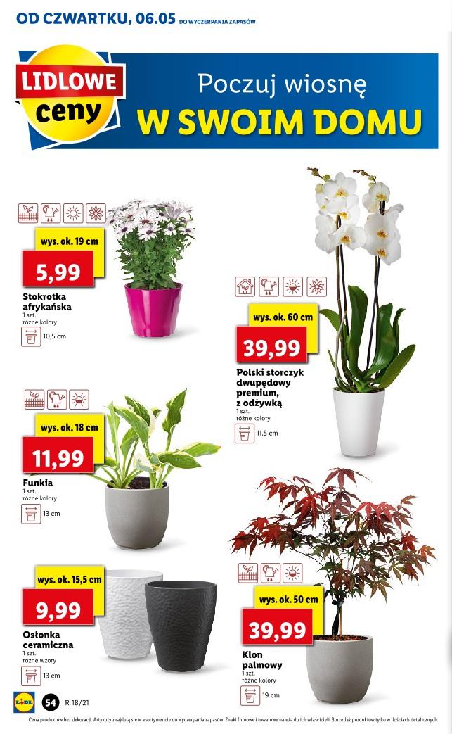 Gazetka promocyjna Lidl str. 54