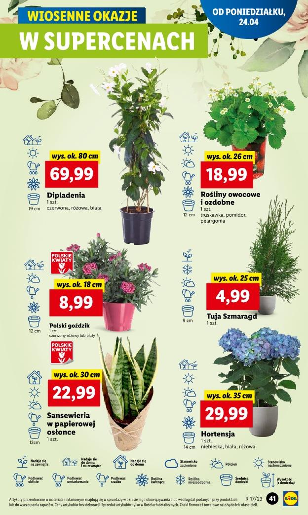 Gazetka promocyjna Lidl str. 51