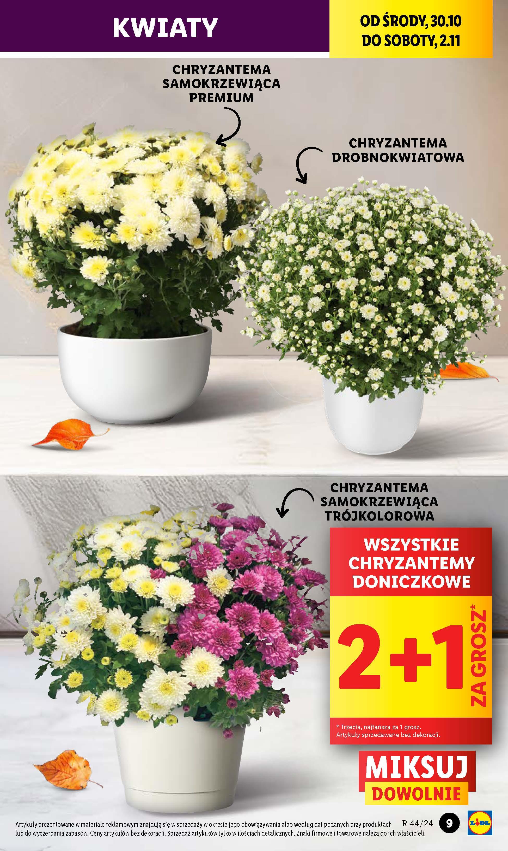 Gazetka promocyjna Lidl str. 9