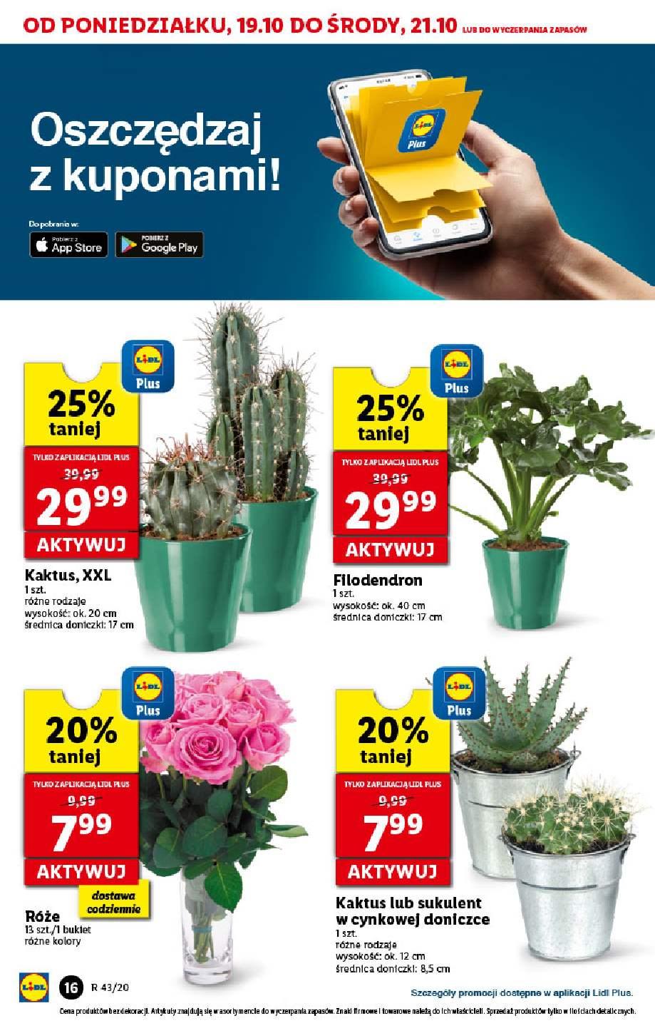 Gazetka promocyjna Lidl str. 16