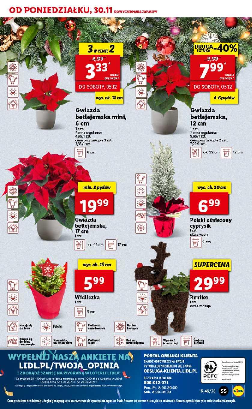 Gazetka promocyjna Lidl str. 55