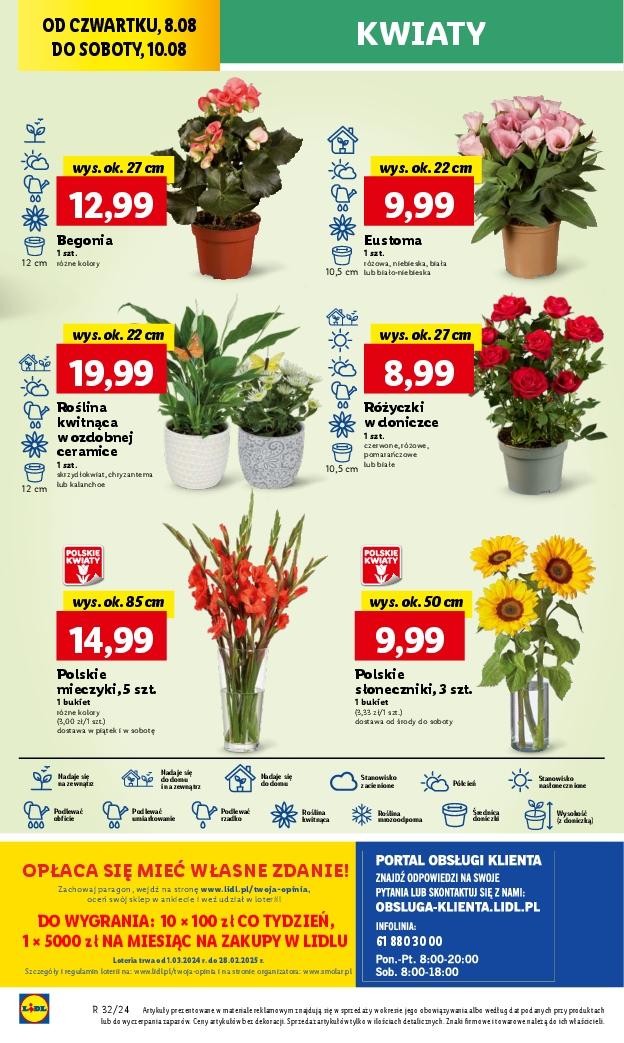 Gazetka promocyjna Lidl str. 46