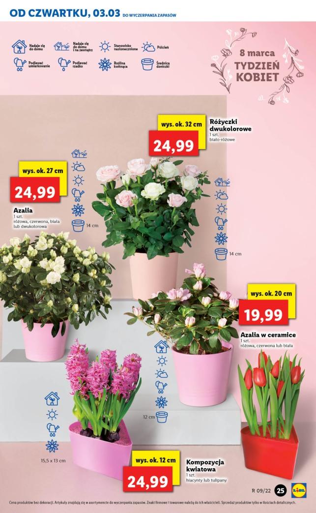 Gazetka promocyjna Lidl str. 25