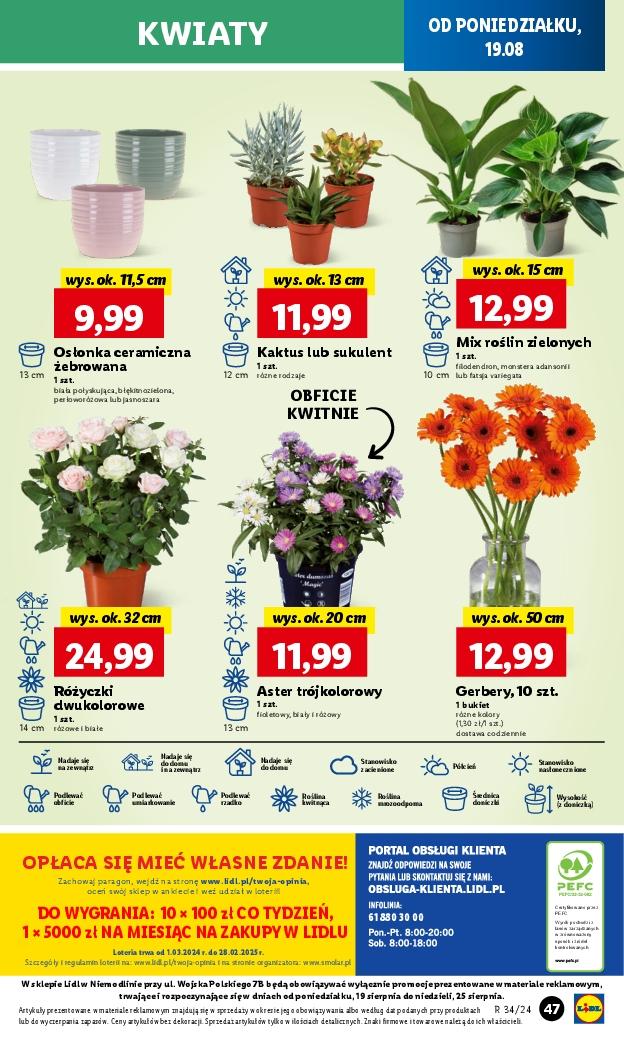 Gazetka promocyjna Lidl str. 53