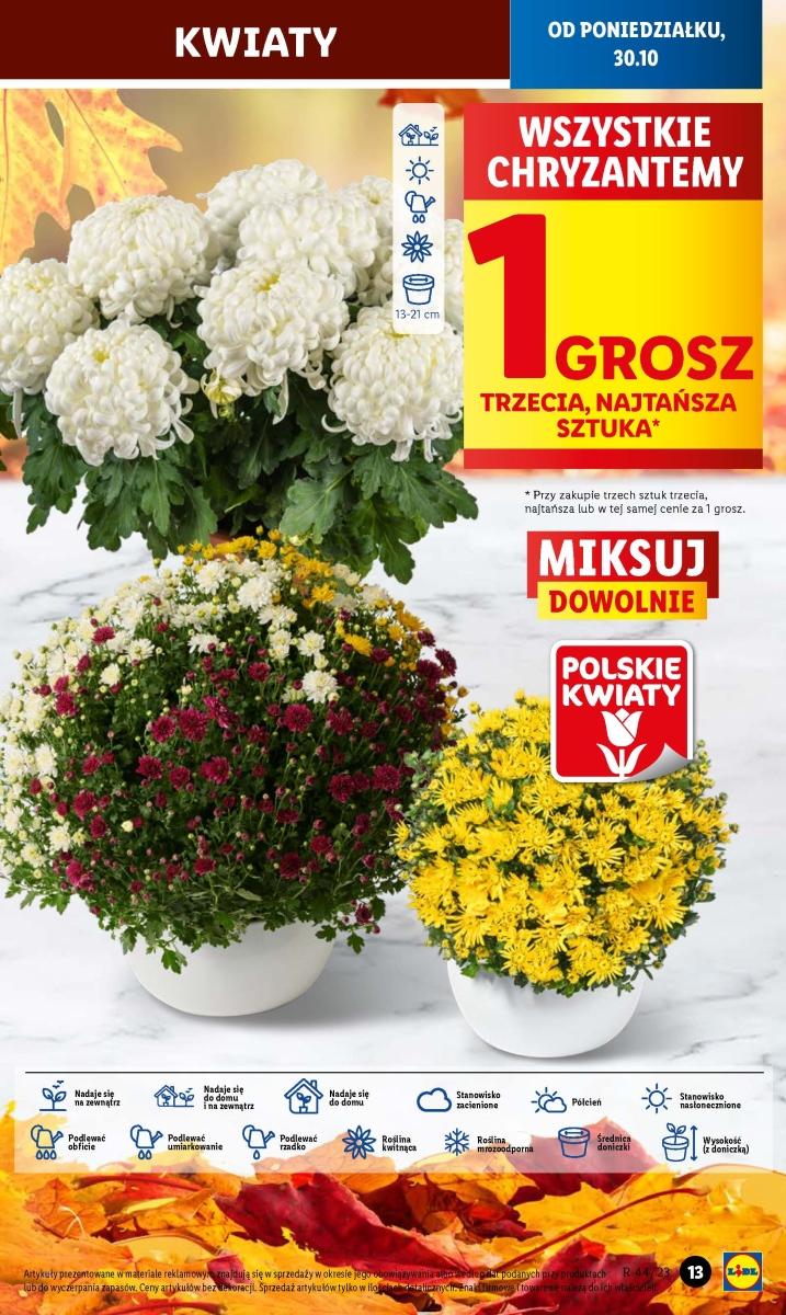 Gazetka promocyjna Lidl str. 21