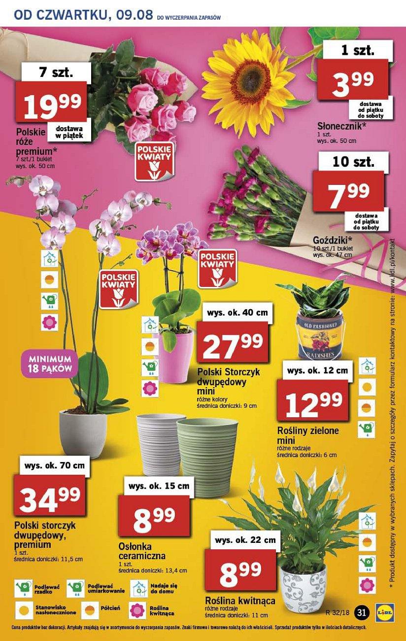 Gazetka promocyjna Lidl str. 31