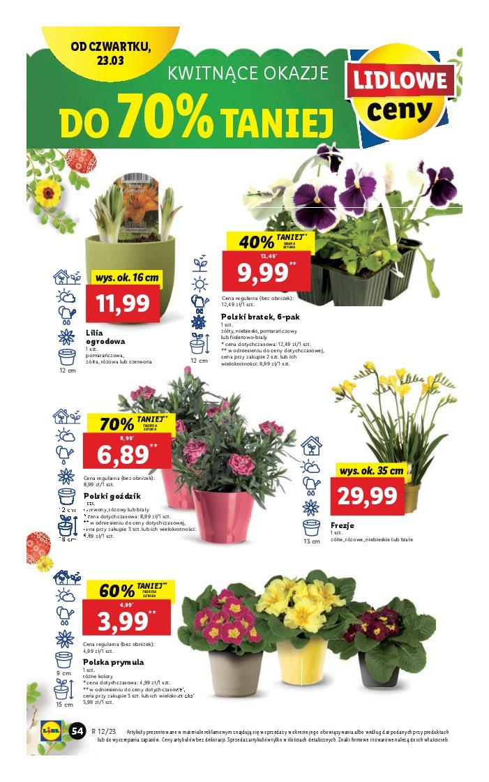 Gazetka promocyjna Lidl str. 62