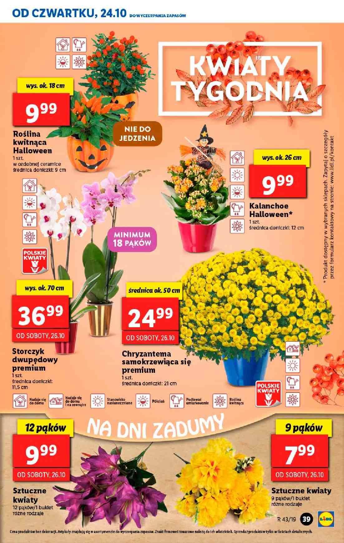 Gazetka promocyjna Lidl str. 39