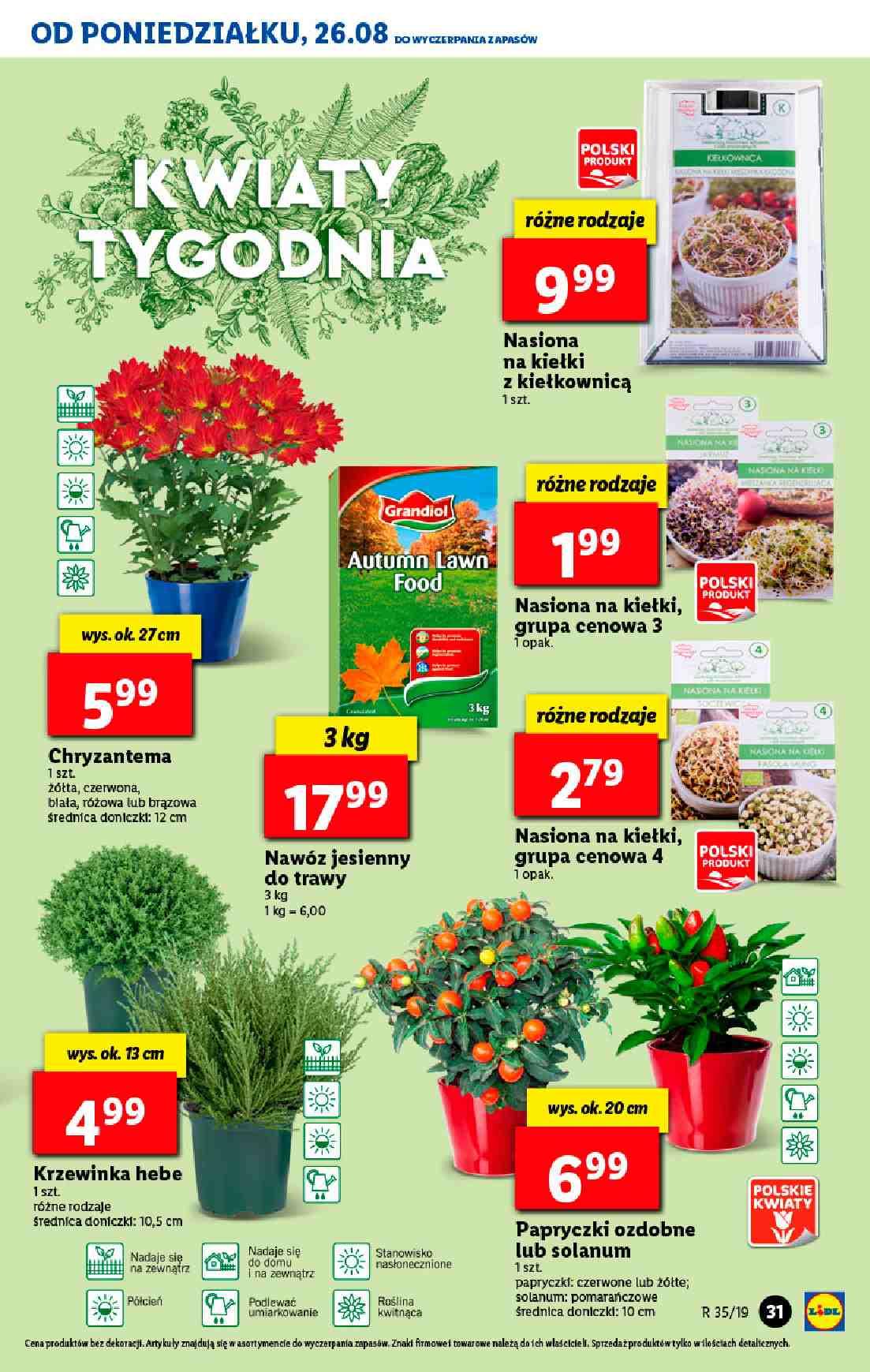 Gazetka promocyjna Lidl str. 31