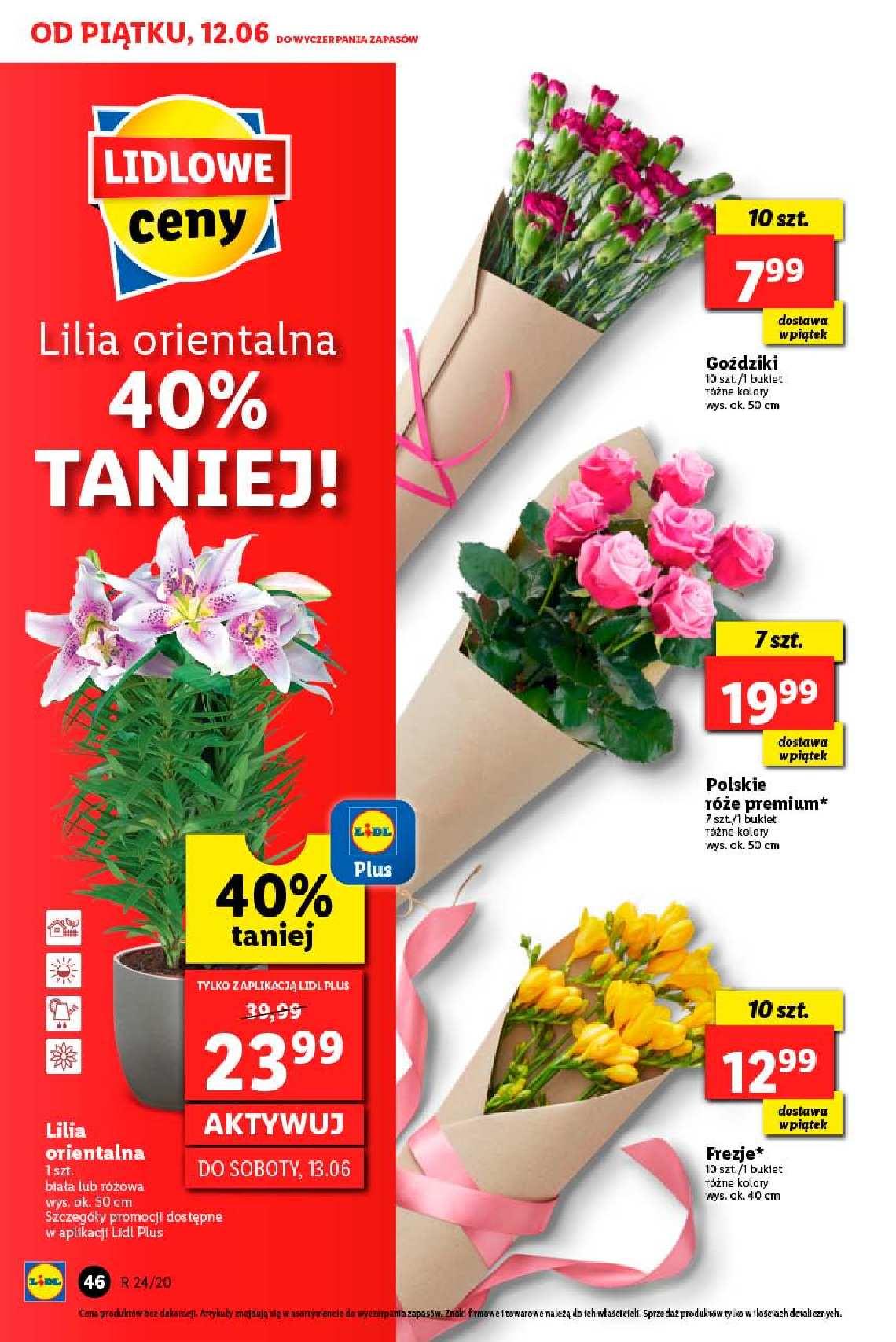 Gazetka promocyjna Lidl str. 46