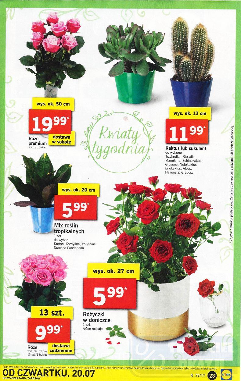 Gazetka promocyjna Lidl str. 23
