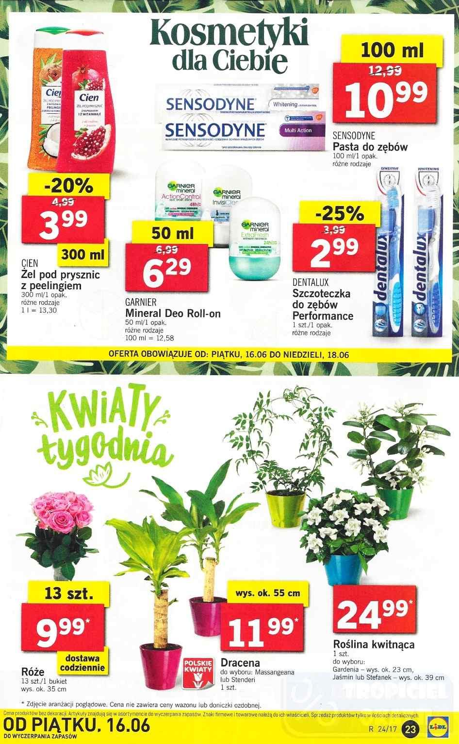 Gazetka promocyjna Lidl str. 23