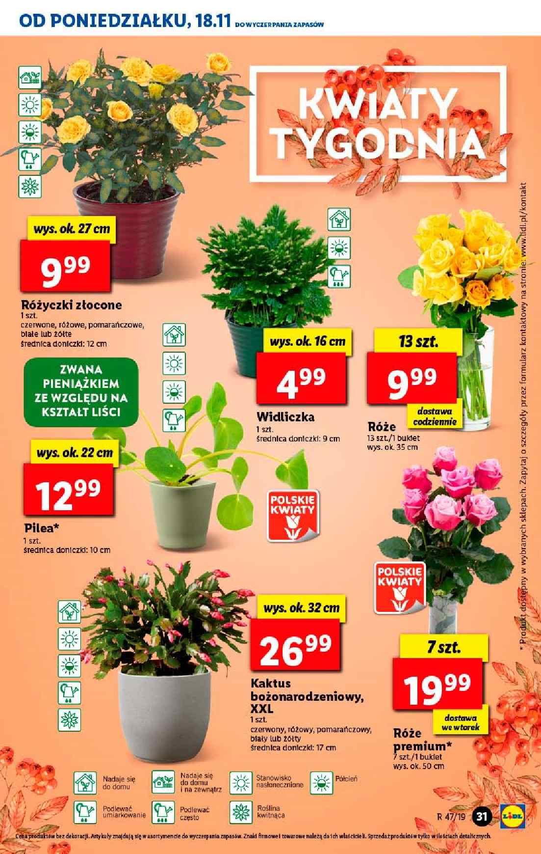 Gazetka promocyjna Lidl str. 31