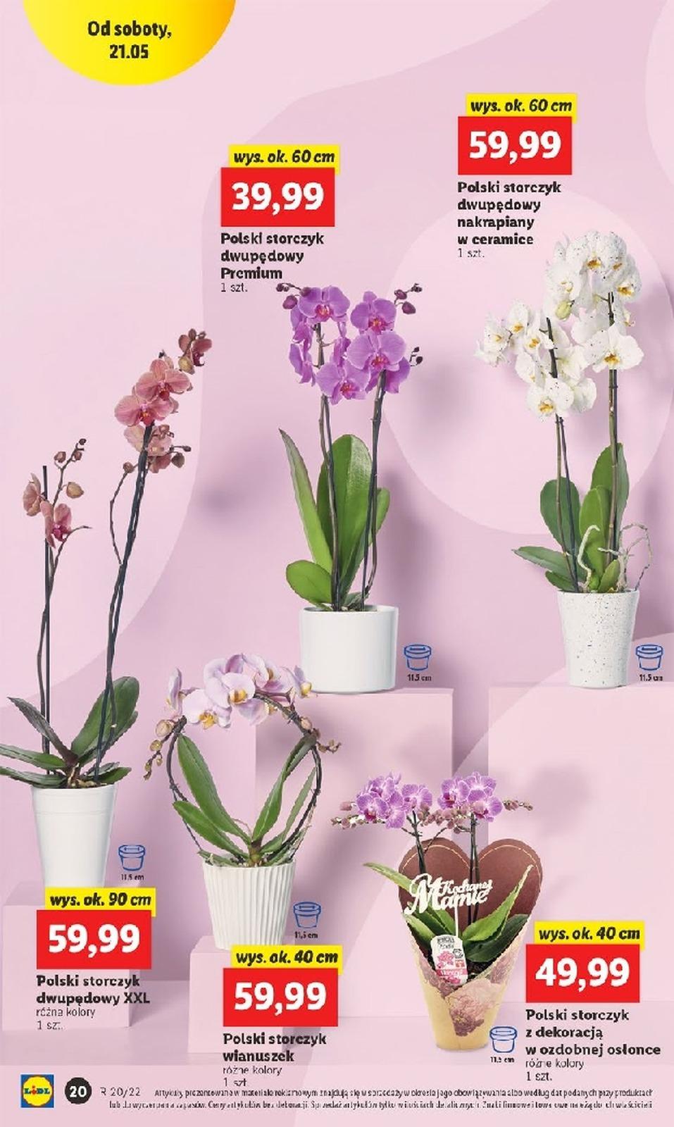 Gazetka promocyjna Lidl str. 20