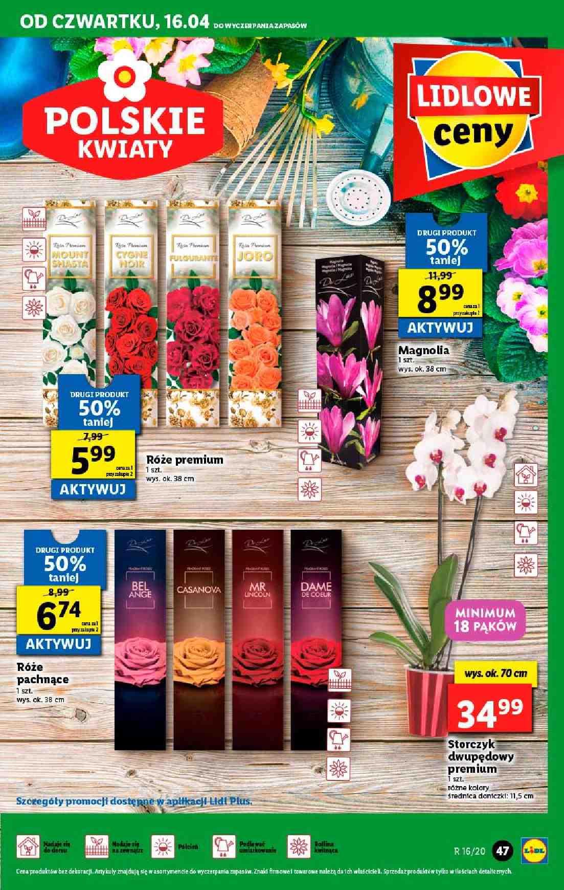 Gazetka promocyjna Lidl str. 47