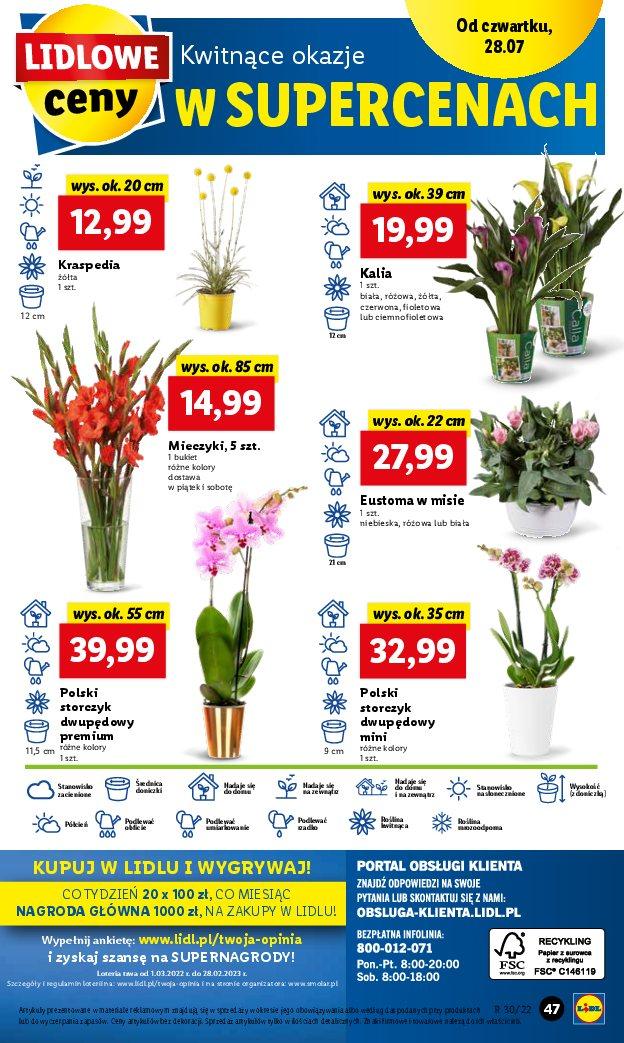 Gazetka promocyjna Lidl str. 48