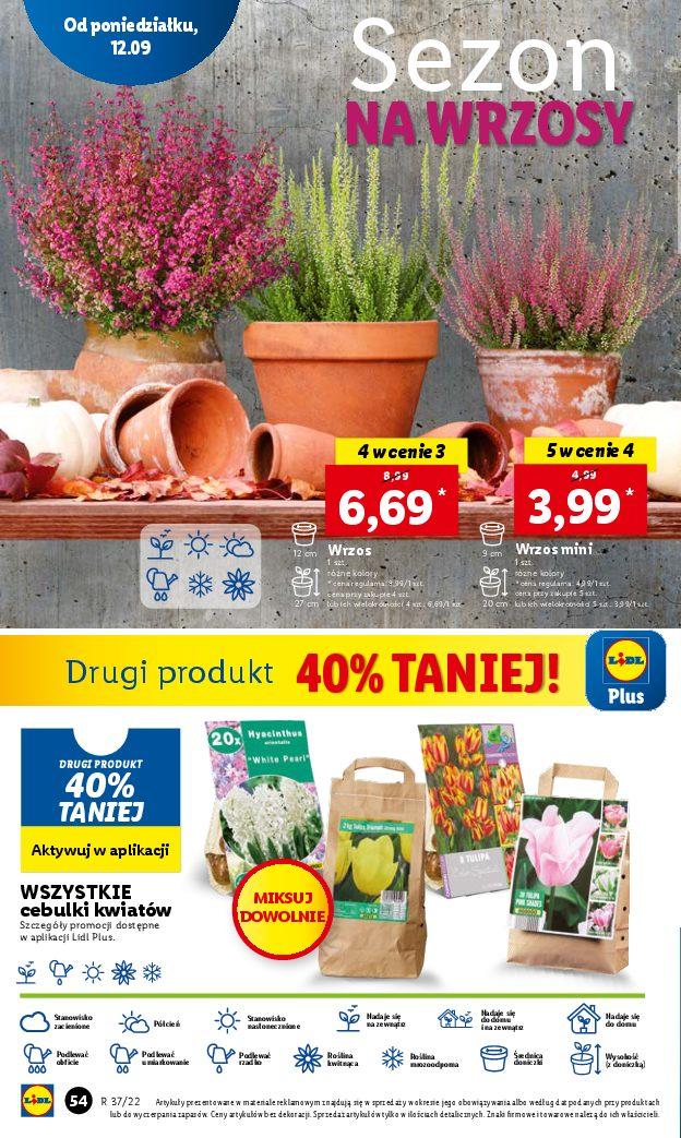 Gazetka promocyjna Lidl str. 54