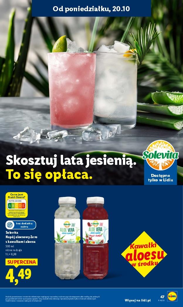 Gazetka promocyjna Lidl str. 47