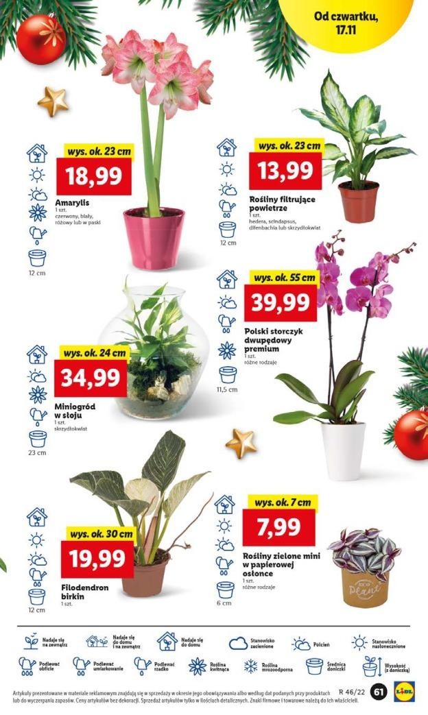 Gazetka promocyjna Lidl str. 61