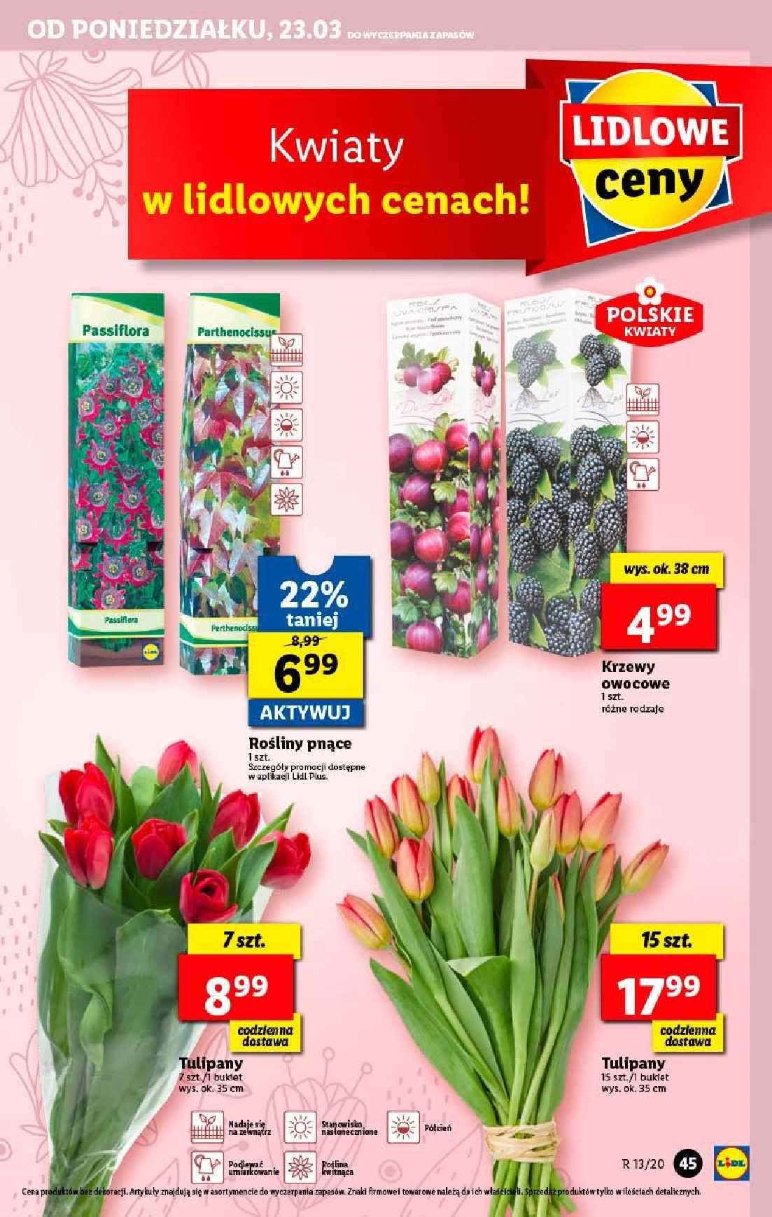 Gazetka promocyjna Lidl str. 45