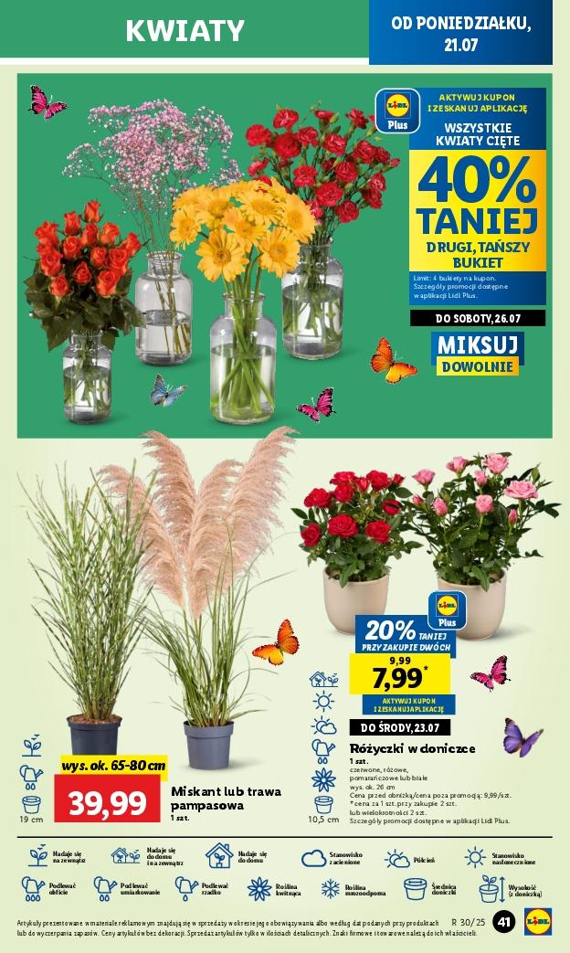Gazetka promocyjna Lidl str. 51