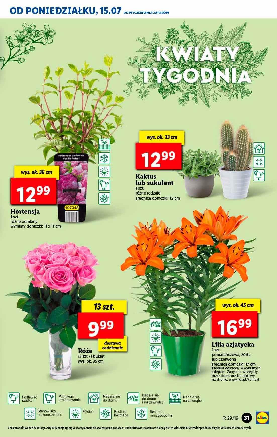 Gazetka promocyjna Lidl str. 31