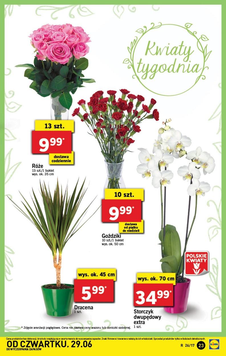 Gazetka promocyjna Lidl str. 23