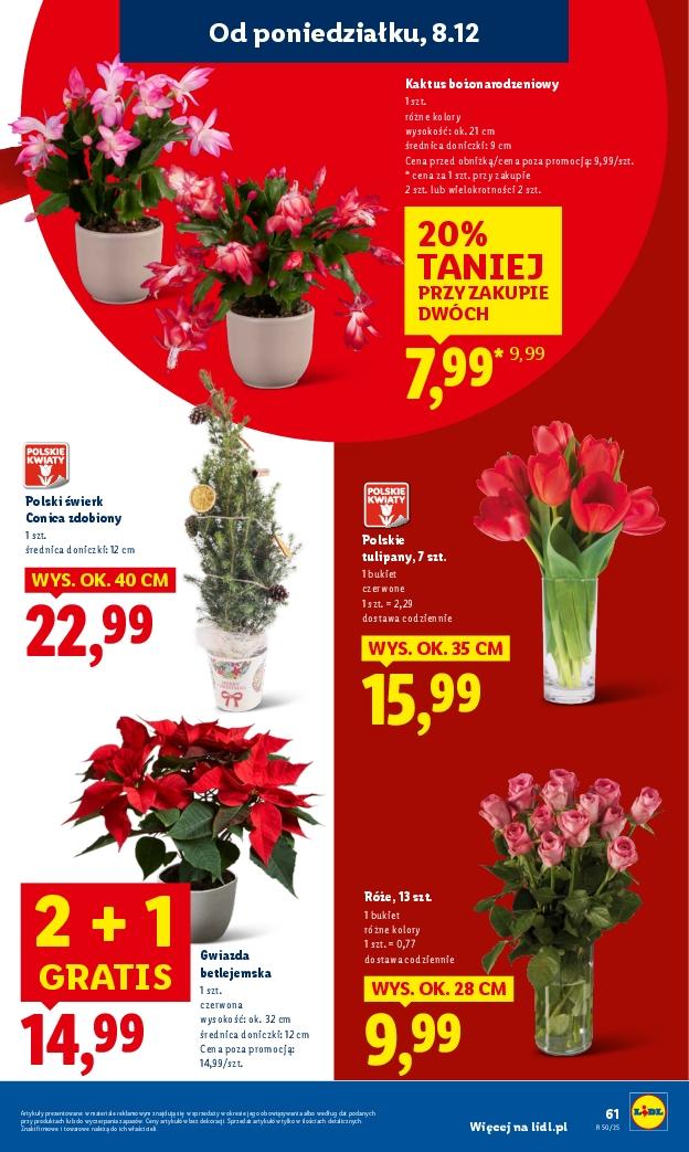 Gazetka promocyjna Lidl str. 69