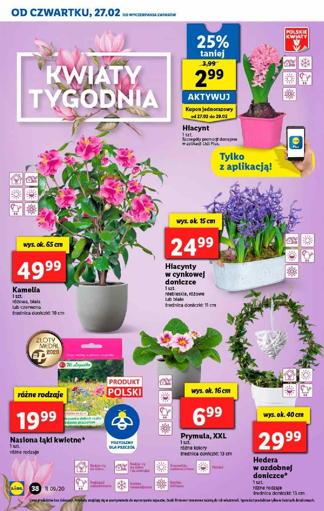 Gazetka promocyjna Lidl str. 38