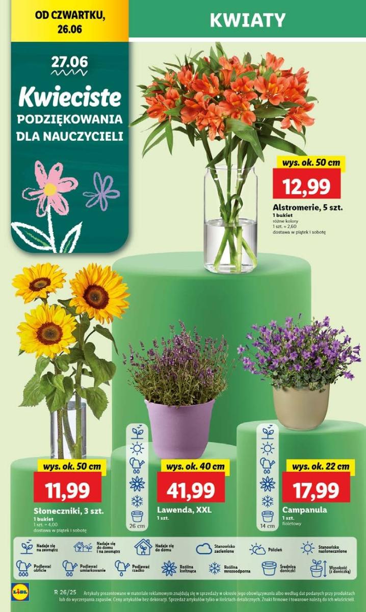 Gazetka promocyjna Lidl str. 57