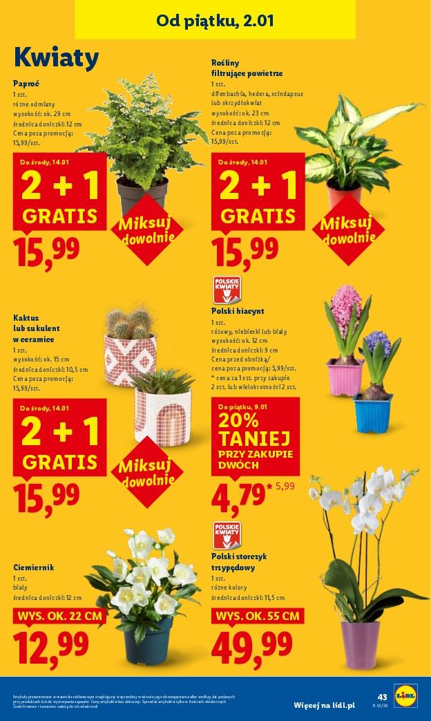 Gazetka promocyjna Lidl str. 45