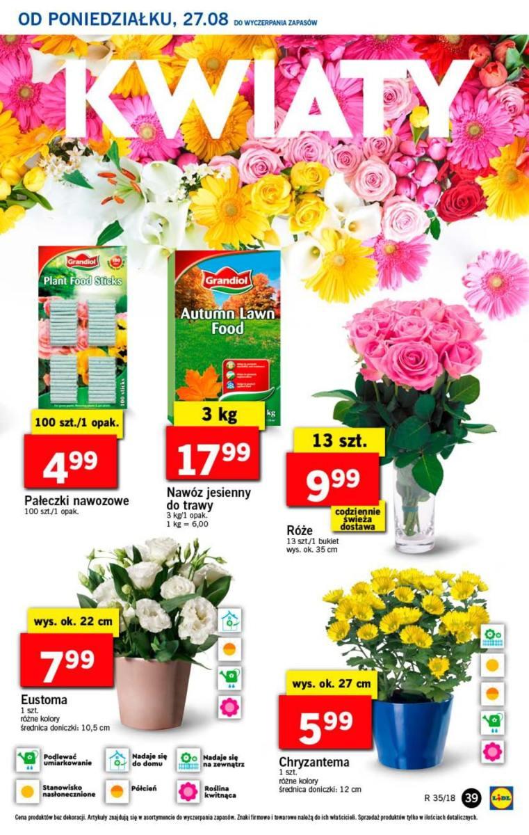 Gazetka promocyjna Lidl str. 39
