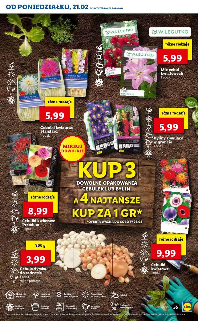 Gazetka promocyjna Lidl str. 56
