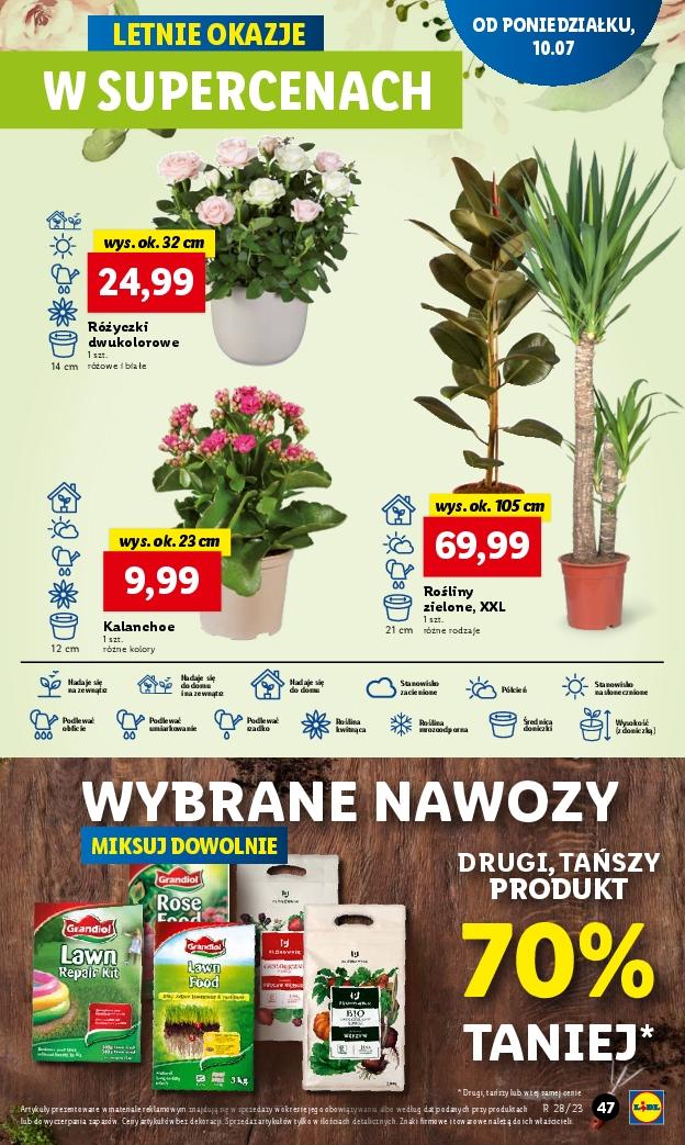 Gazetka promocyjna Lidl str. 53