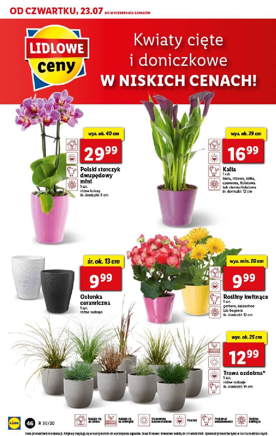 Gazetka promocyjna Lidl str. 46