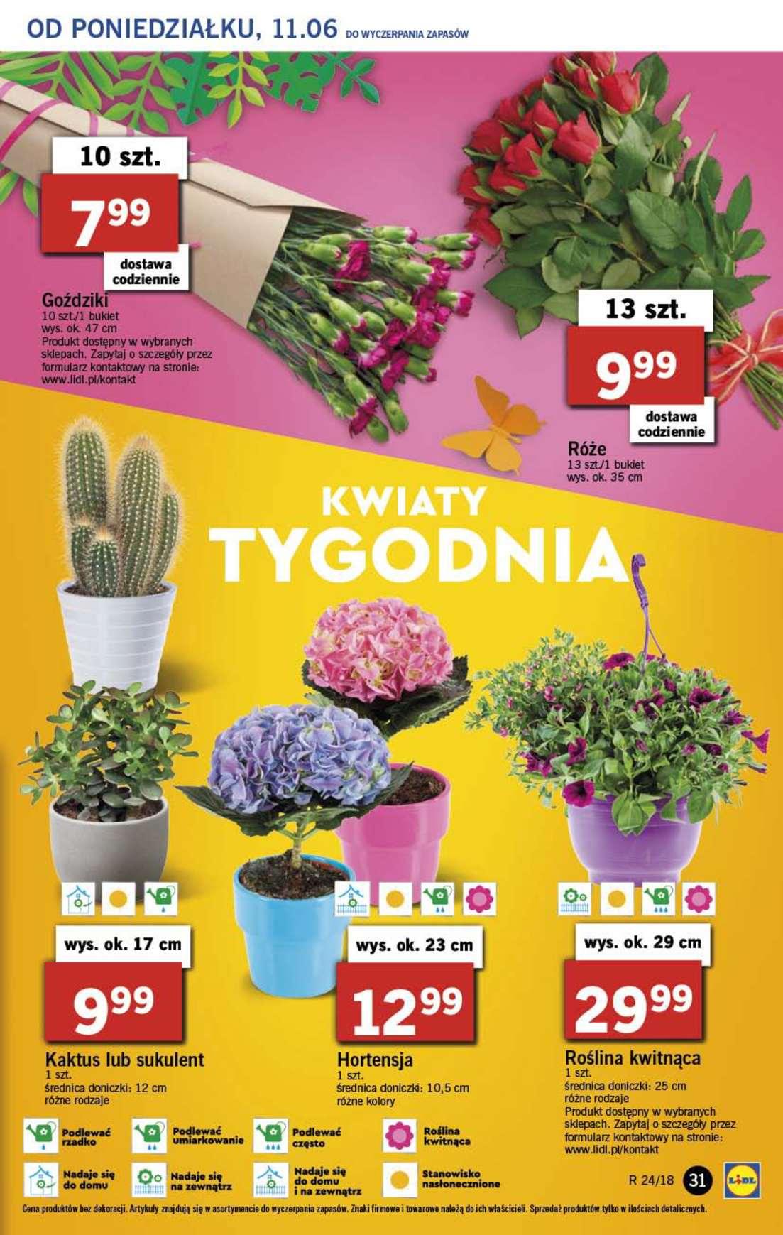 Gazetka promocyjna Lidl str. 31