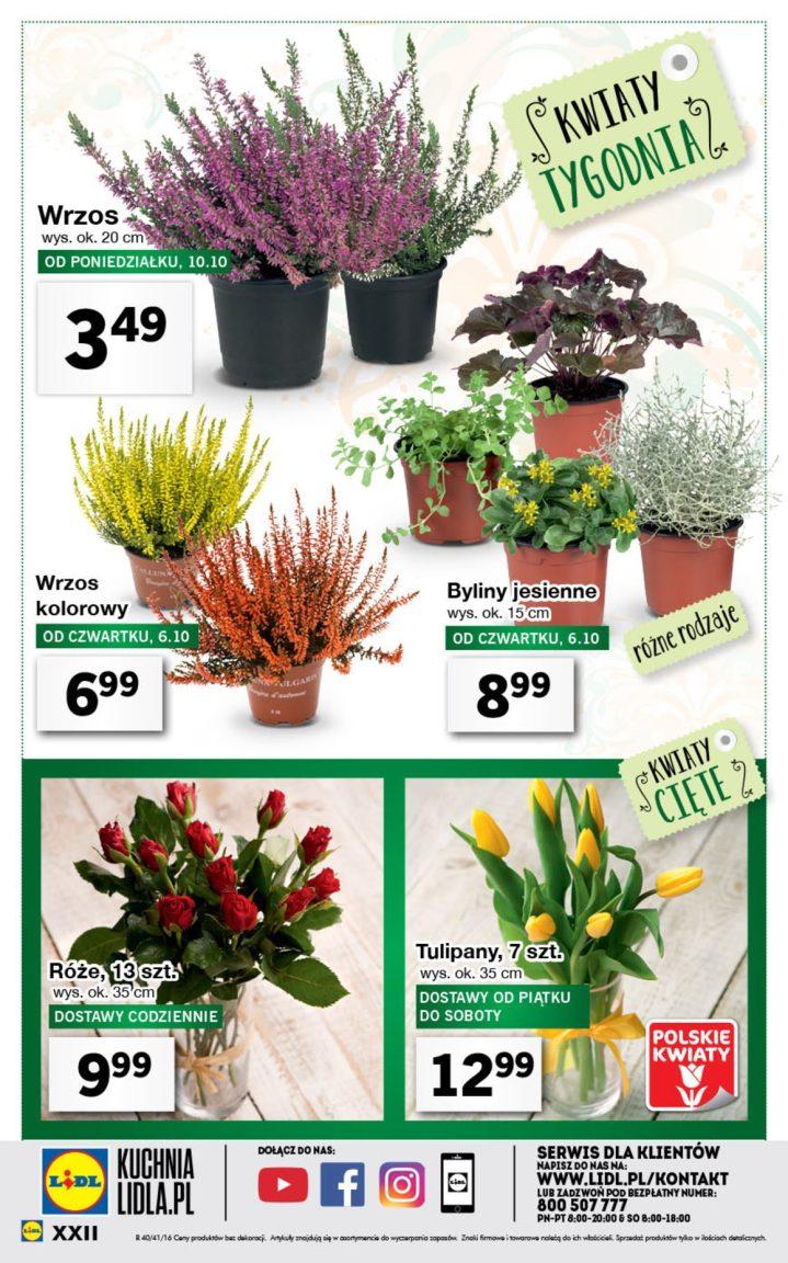 Gazetka promocyjna Lidl str. 22